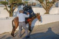 A man loading suitcases on a working donkey in Oia village, Santorini island, Greece Royalty Free Stock Photo