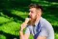 Man with long beard eats ice cream, while sits on grass. Bearded man with ice cream cone. Man with beard and mustache on Royalty Free Stock Photo