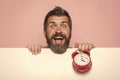 Man with long beard hold alarm clock. Royalty Free Stock Photo