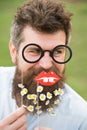 Man with long beard and mustache, defocused green background. Guy looks nicely with daisy or chamomile flowers in beard Royalty Free Stock Photo