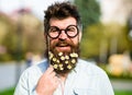 Man with long beard and mustache, defocused nature background. Guy looks nicely with daisy or chamomile flowers in beard Royalty Free Stock Photo