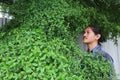 A man with a Long hair and a mustache peeking out from the bushes of Terminalia ivorensis Chev bedew