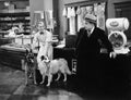 Man looking fearful at two dogs in a butcher store