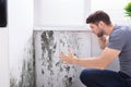 Man Looking At Mold On Wall Royalty Free Stock Photo