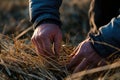 A man is looking for a needle in a haystack. Generative AI