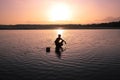 Man Looking for Shellfish at Low Tide in Sunset time, Wading in Water