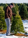 Man looking at trees at a tree farm Royalty Free Stock Photo