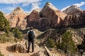 Man Looks Out Over Zion Canyons