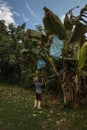 Man lowering a bunch of bananas in the middle of rural vegetation