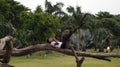 A man is lying on a dry tree in park of Kolkata,West Bengal.