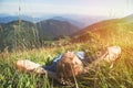 Man lying in high green grass on the mountain medaow