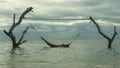 Man lying relaxed and happy in sea hammock amazing set up on tree trunks at tropical island beach in relaxing holidays travel