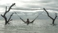 Man lying relaxed and happy in sea hammock amazing set up on tree trunks at tropical island beach in relaxing holidays travel