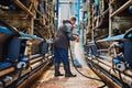 Man, machine or farmer cleaning in factory hosing off a dirty or messy floor after dairy milk production. Cleaner Royalty Free Stock Photo