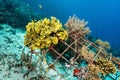 man-made artificial reef with metal struture and concrete