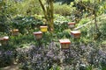 Man-made bee nests made of timber. Royalty Free Stock Photo