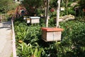 Man-made bee nests made of timber. Royalty Free Stock Photo