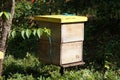 Man-made bee nests made of timber. Royalty Free Stock Photo