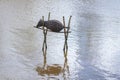 Man made braided nest for waterfowl to breed