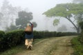 Man made landscapes-Tea plantations