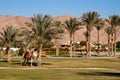 Man-made oasis at the hotel Movenpick Beach Resort Taba. Royalty Free Stock Photo
