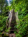 Forest old wood long stairs Royalty Free Stock Photo