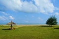 A man made shack created on a beach on Andaman Islands, India