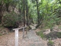 Man Made Steps Leading to the Argyle Waterfall in Tobago, West Indies