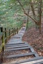 Stairs up a mountain trail Royalty Free Stock Photo