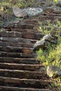 Man-made stairway in mountainous region