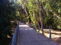 Man Made structures for walking and cycling people in the Linear park