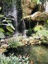 A man-made waterfall in the garden. Royalty Free Stock Photo