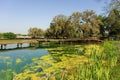 A man-made watering hole for horses