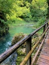 Wooden trail over the Vintgar gorge in summer in Slovenia Europe