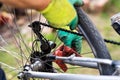 Man maintaining his bicycle for the new season Royalty Free Stock Photo