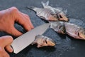 Man makes cuts on carp fish on black table. Cooking fish. Close-up hand. Royalty Free Stock Photo