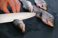 Man makes cuts on carp fish on black table. Cooking fish. Close-up hand. Royalty Free Stock Photo