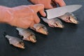 Man makes cuts on carp fish on black table. Cooking fish. Close-up hand. Royalty Free Stock Photo