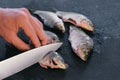 Man makes cuts on carp fish on black table. Cooking fish. Close-up hand. Royalty Free Stock Photo