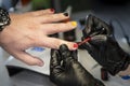 A man makes himself a nail coloring in a professional nail salon. male manicure on a man's hand