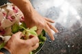 Man making flowers arrangment with green and white orhids