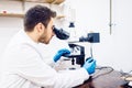Man, male scientist, chemist working with microscope in pharmaceutical laboratory, examining samples