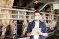 Man in mask with clipboard and cows on dairy farm Royalty Free Stock Photo
