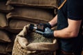 Man measuring coffee beans humidity with a special electronic tester in warehouse Royalty Free Stock Photo