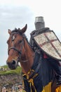 Man in a medieval historical clothes on horseback Royalty Free Stock Photo