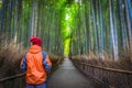 Man solo traveler standing from the back in the middle of a bamboo forest in Japan. Royalty Free Stock Photo