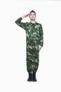 Man in military uniform saluting Royalty Free Stock Photo