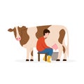 Man milks a cow isolated Royalty Free Stock Photo