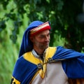 Man in minnesinger masquerade Royalty Free Stock Photo