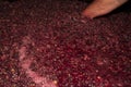 A man mixes fermented grapes by hand
